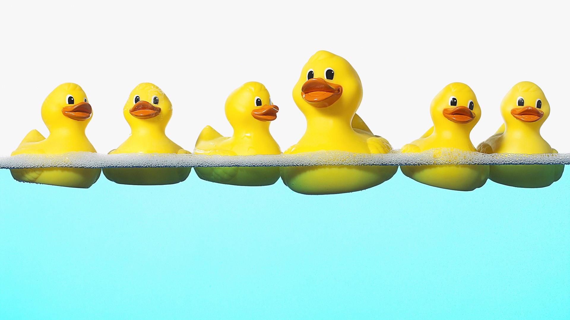 ducks